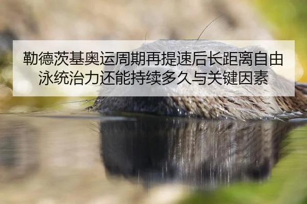 勒德茨基奥运周期再提速后长距离自由泳统治力还能持续多久与关键因素