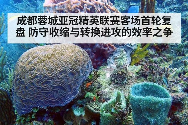 成都蓉城亚冠精英联赛客场首轮复盘 防守收缩与转换进攻的效率之争
